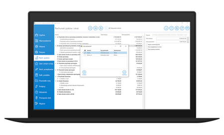 Comarch e-Sprawozdania BR online