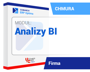Analizy Business Intelligence
