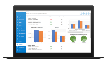 Comarch e-Sprawozdania online