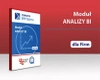Analizy Business Intelligence