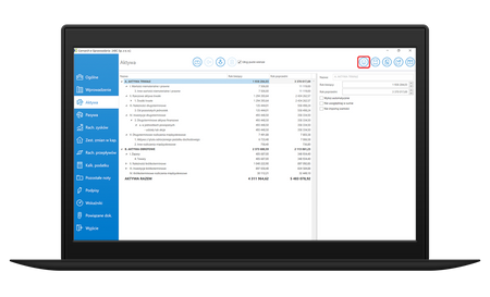 Comarch e-Sprawozdania BR