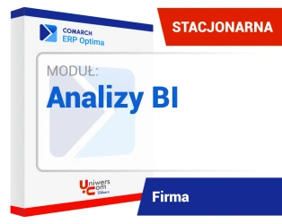 Analizy Business Intelligence