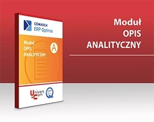 Opis Analityczny wersja dla Firm