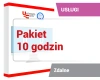Pakiet 10 godz. profesjonalnych usług IT