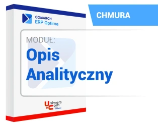 Opis Analityczny
